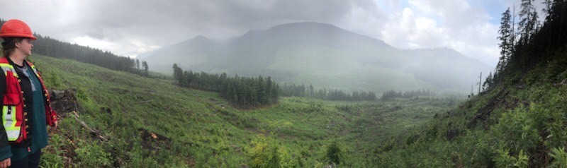 IFSP Student Overlooking Landscape